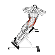 Exercise form
