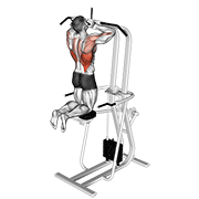 Exercise form demonstration