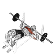 Exercise form demonstration