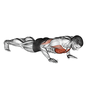 Exercise form demonstration