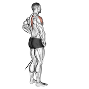 Exercise form demonstration