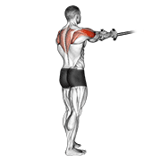 Exercise form demonstration