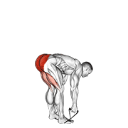 Exercise form demonstration