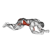 Exercise form demonstration