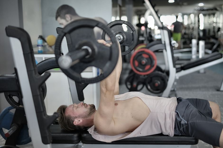 Best Weight Bench For Dumbbell Training