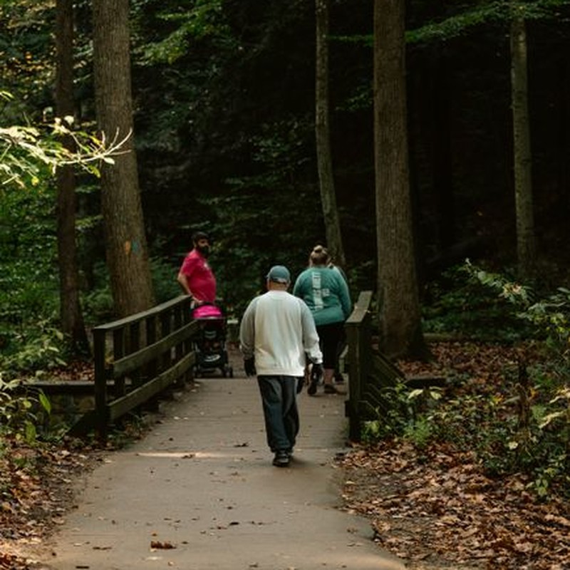 People walking on a scenic forest trail during autumn, surrounded by lush greenery and fallen leaves.