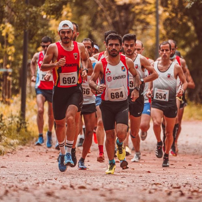 Group of male marathon runners competing on an outdoor trail surrounded by trees.