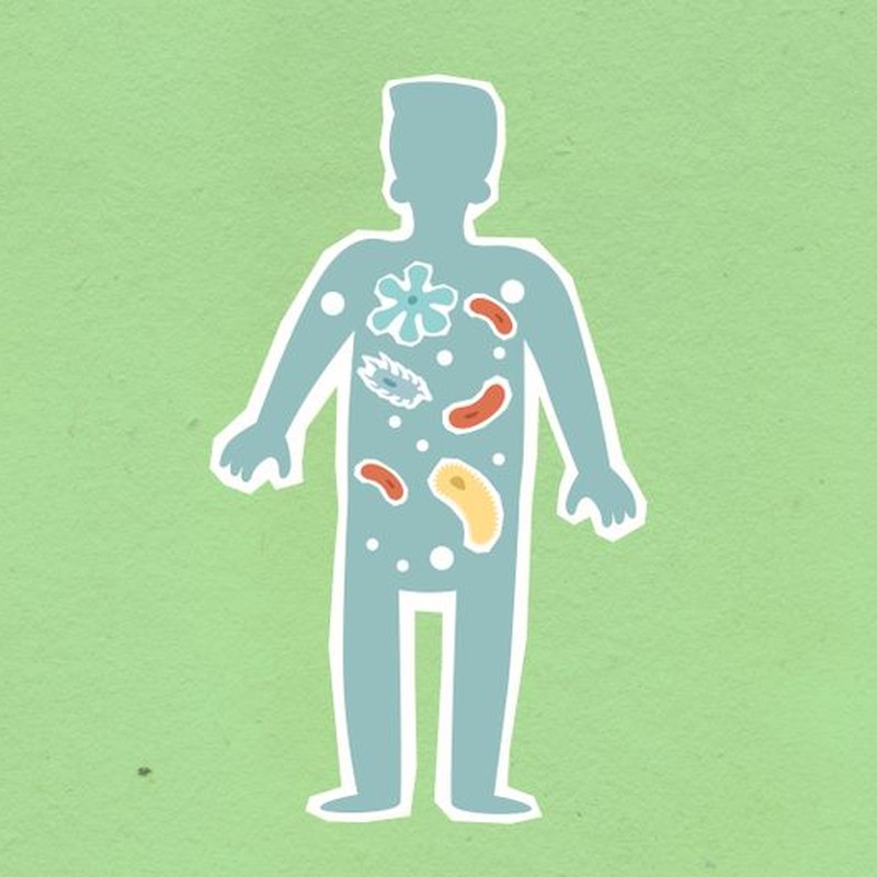 From above of cutout cardboard illustration of person with different bacteria spreading in body on green background