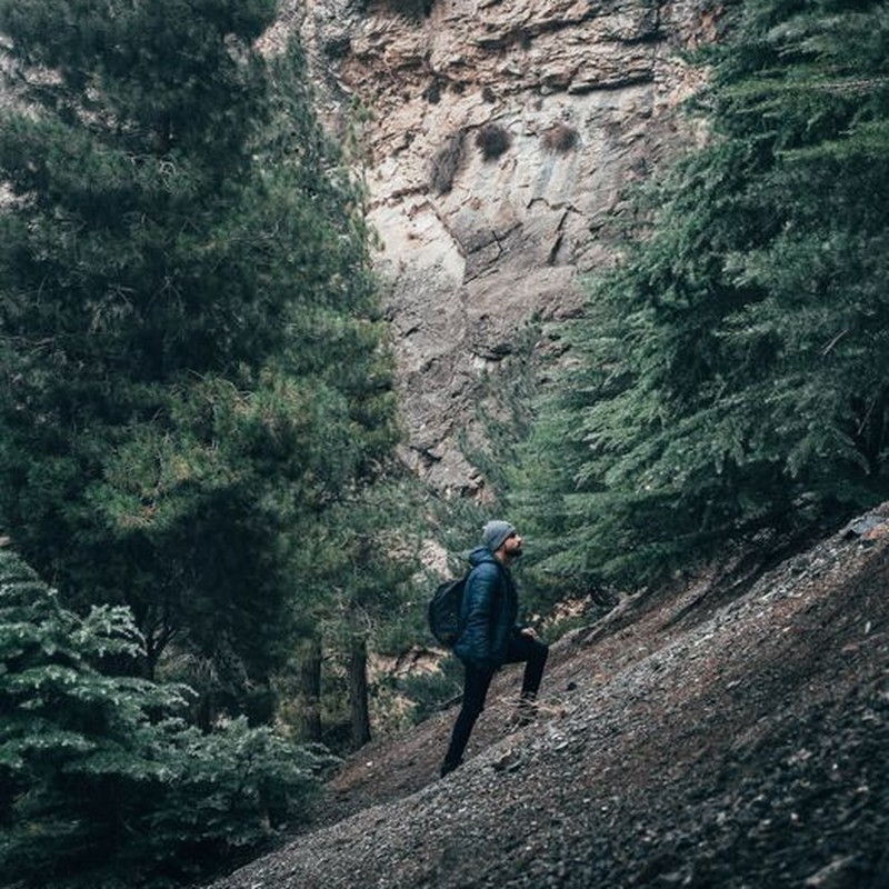 A man hikes on a rocky mountain trail surrounded by tall trees, showcasing adventure and exploration.