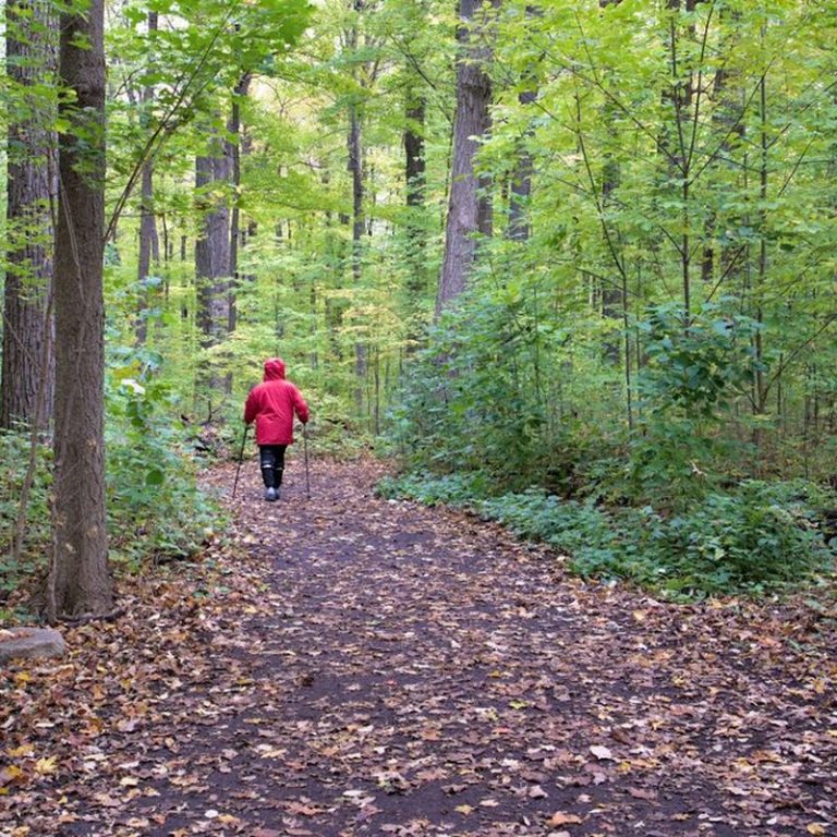 A person in a red jacket enjoys nordic walking on a lush forest trail in Vaughan, Ontario.