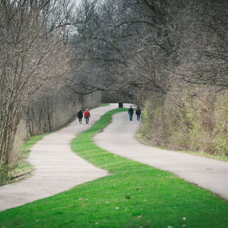 People walking along a winding path in a peaceful park setting during early spring.