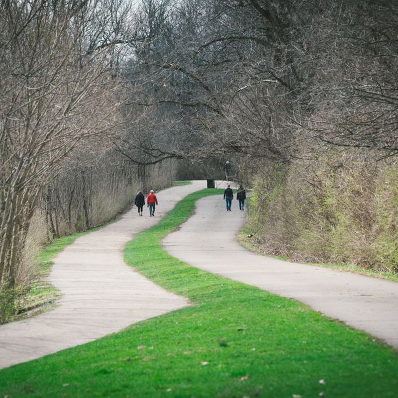 People walking along a winding path in a peaceful park setting during early spring.