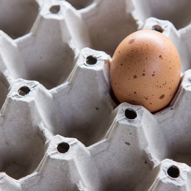 Close-up of a single brown egg nestled in an empty cardboard egg carton.