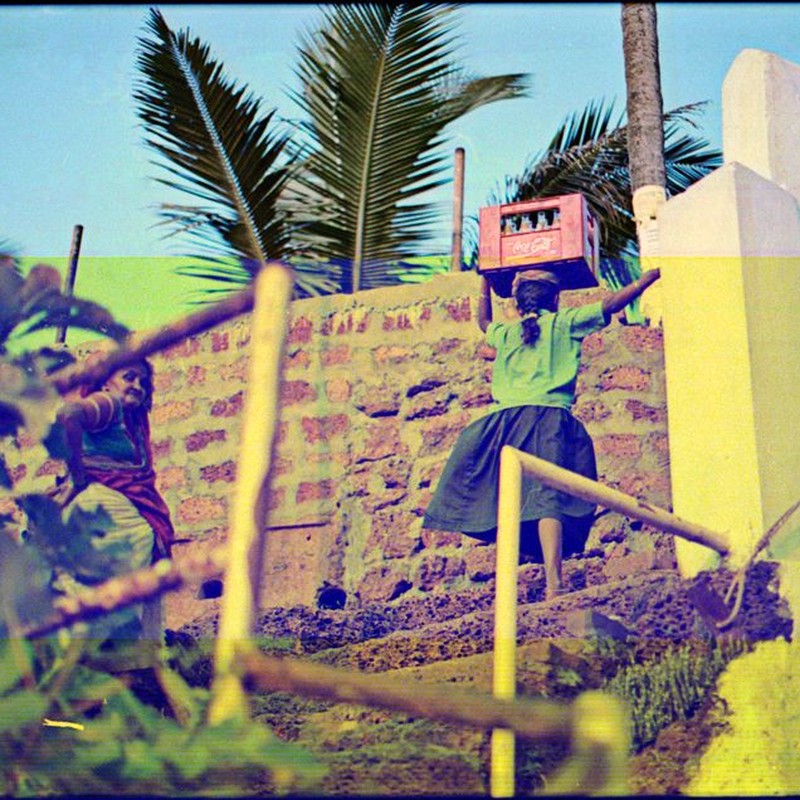 A woman carrying a box up rustic outdoor stairs with tropical vegetation.