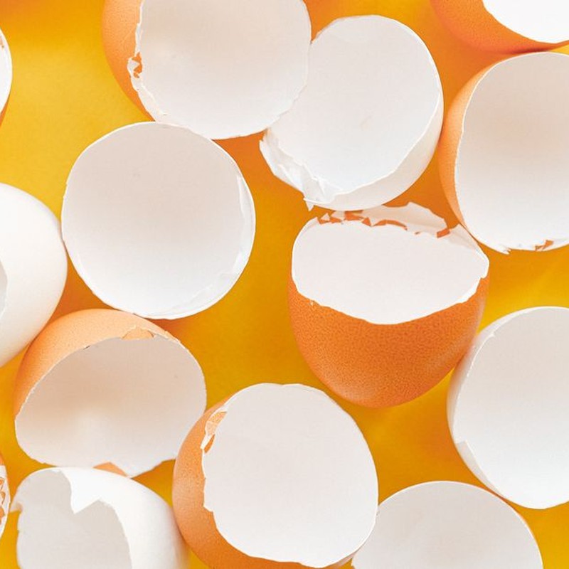 A minimalist image of scattered eggshells on a bright yellow background.