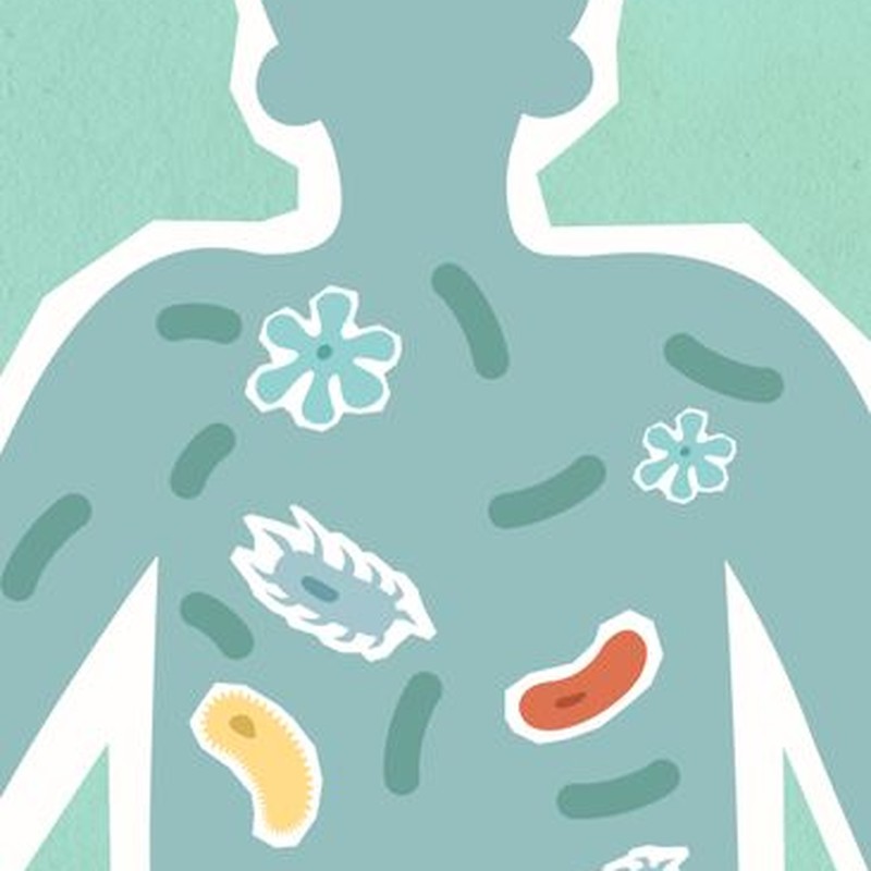 Illustration depicting microbiome within a human silhouette on a textured background.